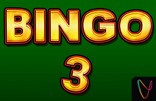 Bingo 3
