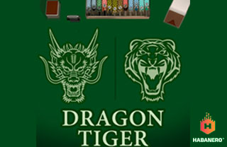 Dragon Tiger H
